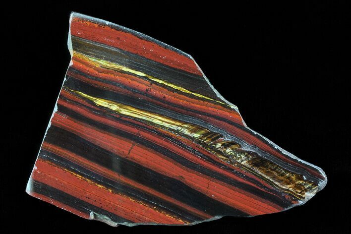 Polished Tiger Iron Stromatolite - ( Billion Years) #75827